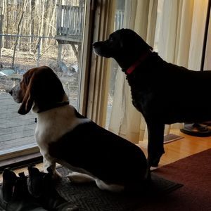 Meet your Posher, Katy